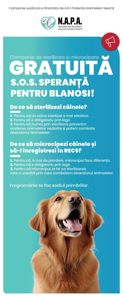 Campania gratuită de sterilizare, microcipare și înregistrare în Registrul de Evidență a Câinilor cu Stăpân