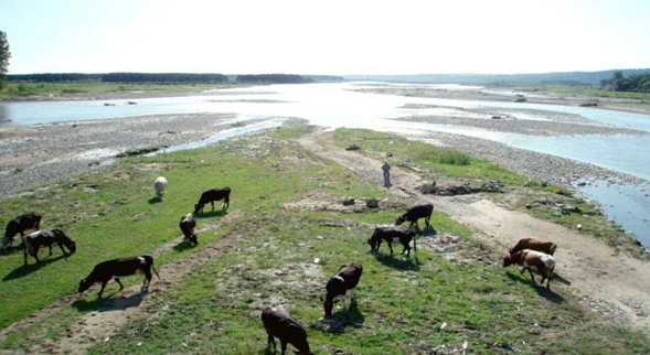 Lunca Moldovei în comuna Drăgănești